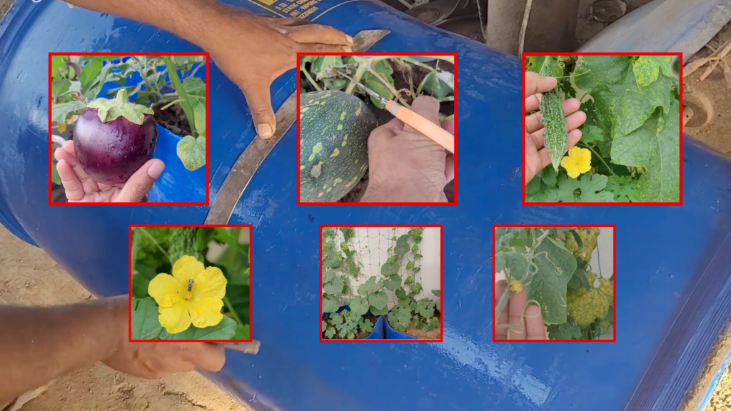 Vegetables To Grow In April