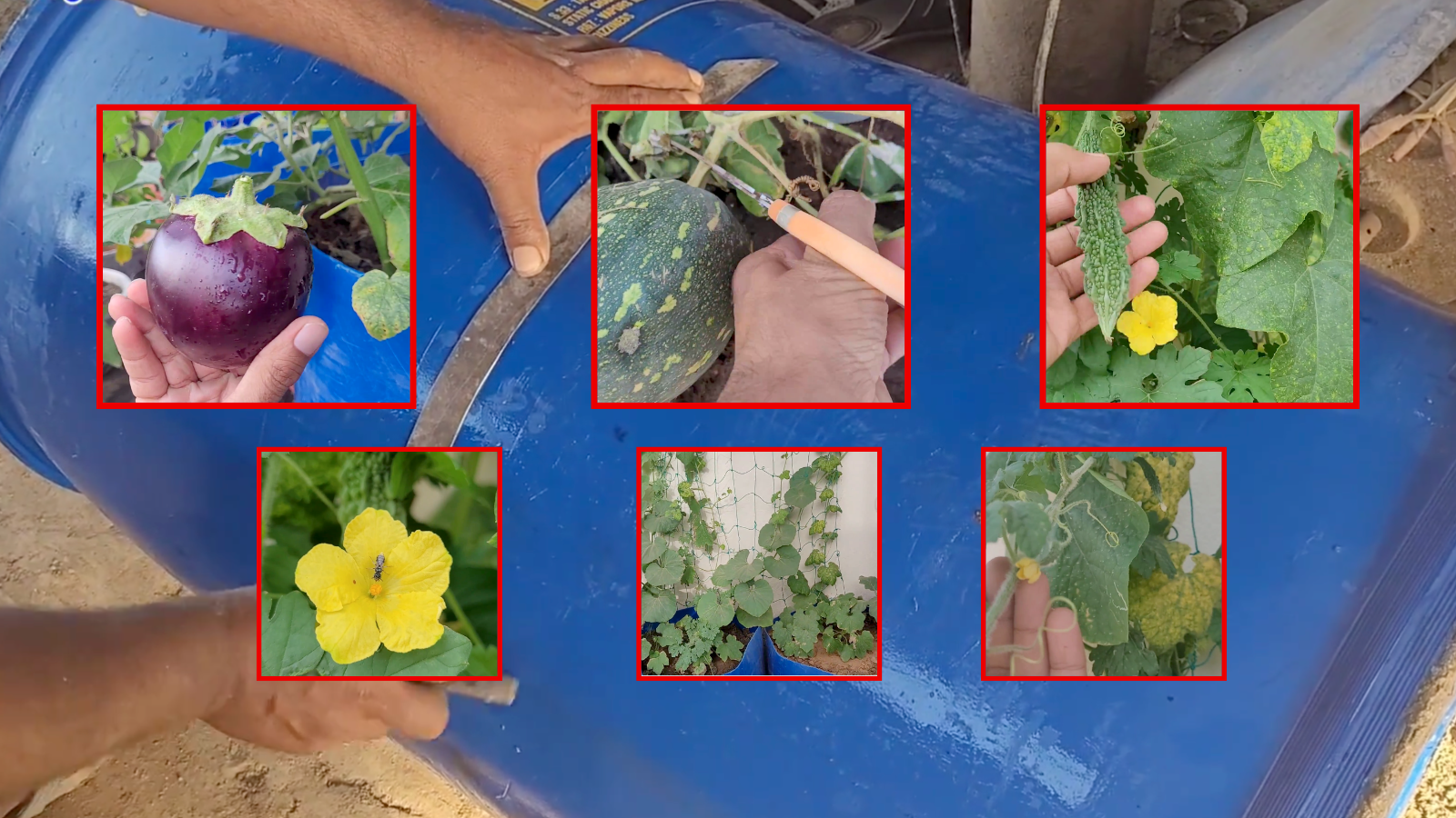 Plastic ke Drum me Sabji kaise ugaye hindi me