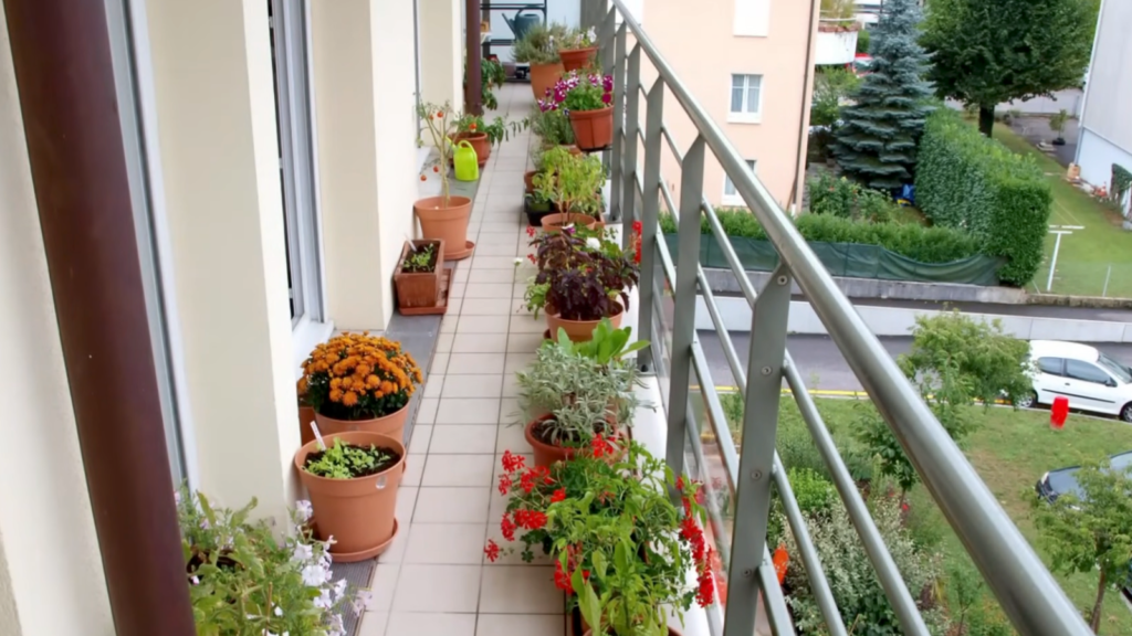 small balcony garden