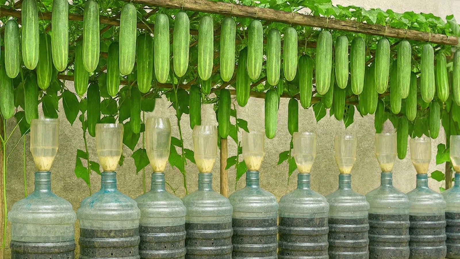 DIY Plastic Bottle Hack