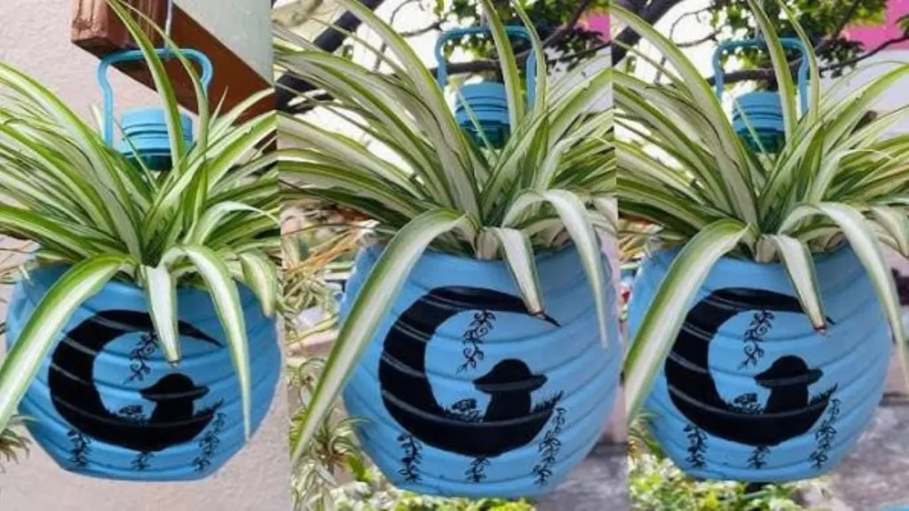 DIY Water Can Planter