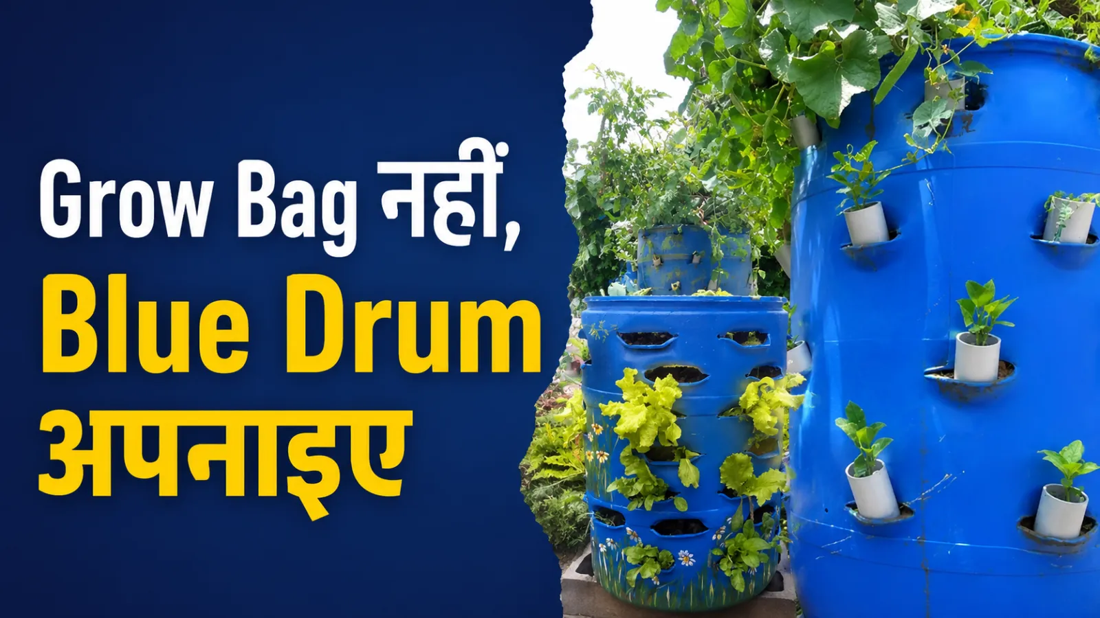 grow bag vs blue drum