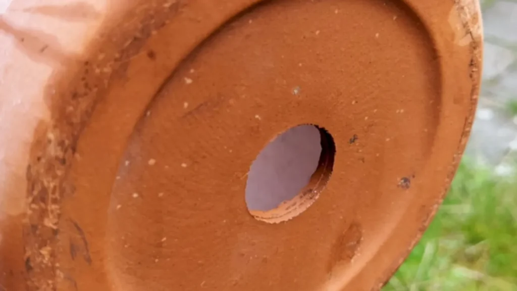 rainy season gardening tips
