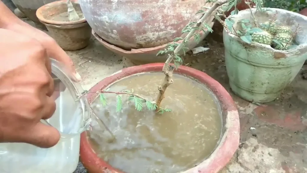 water drainage test