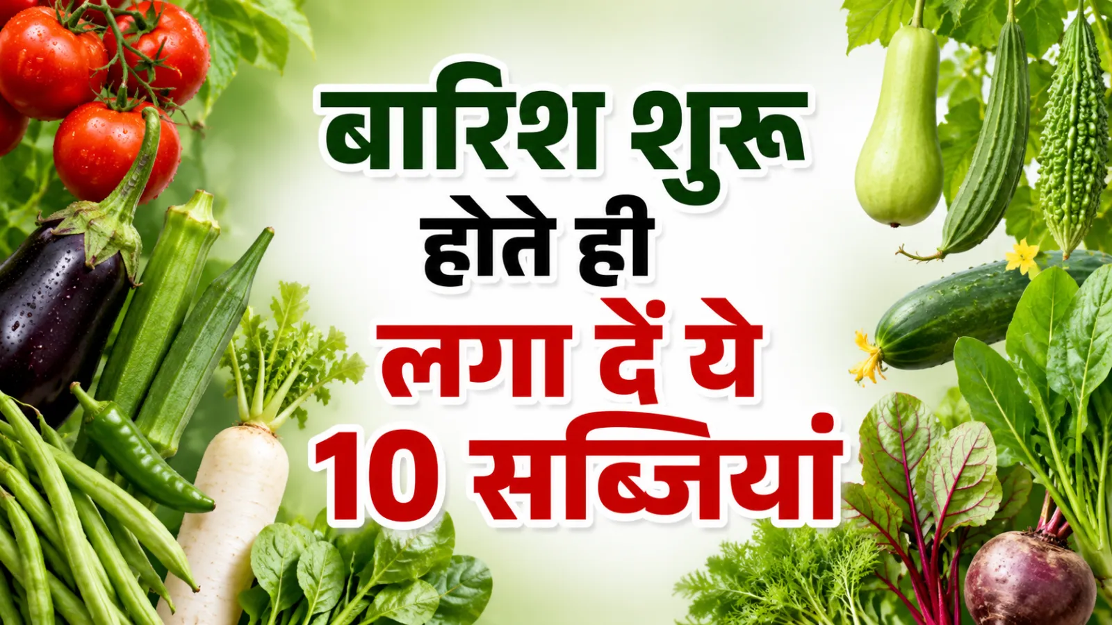 Best Vegetables To Grow In July