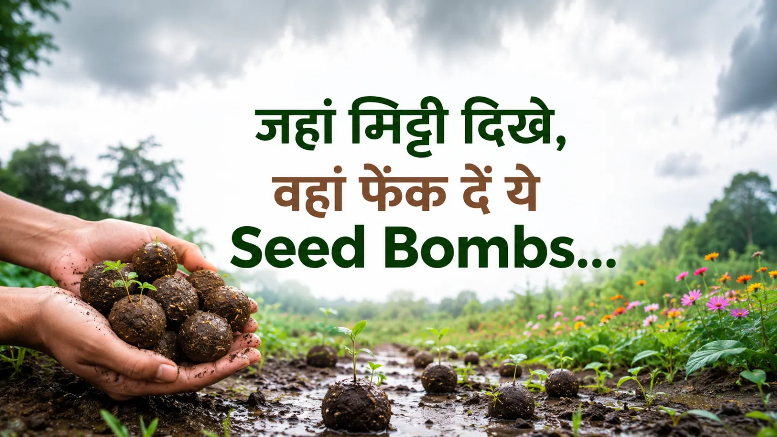 How To Make Seed Bombs At Home