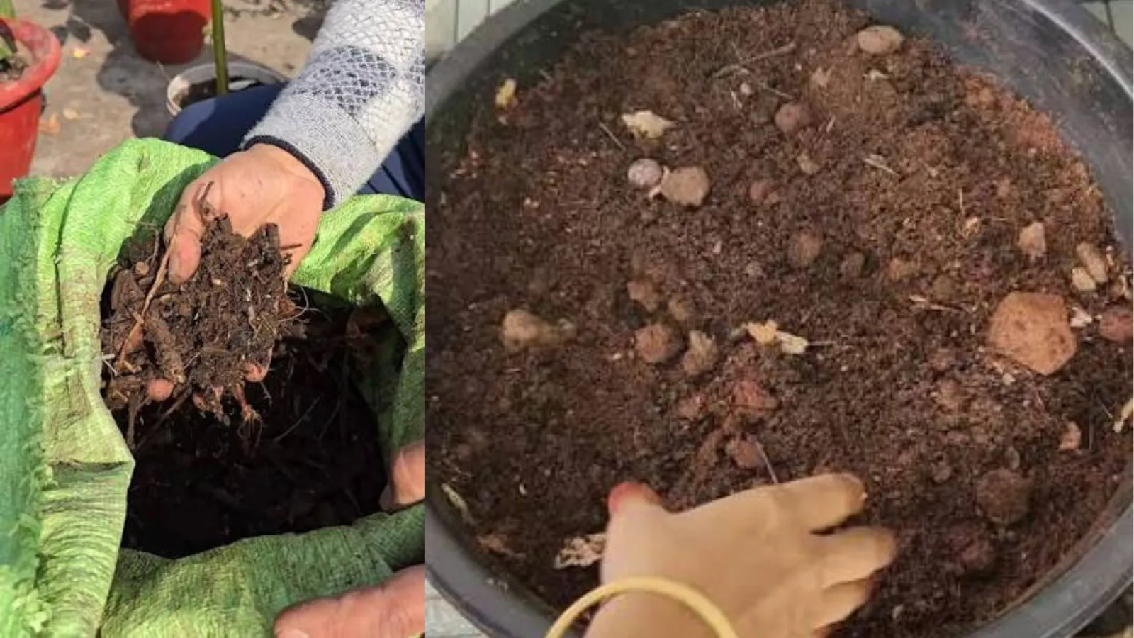 Dry Leaves Compost